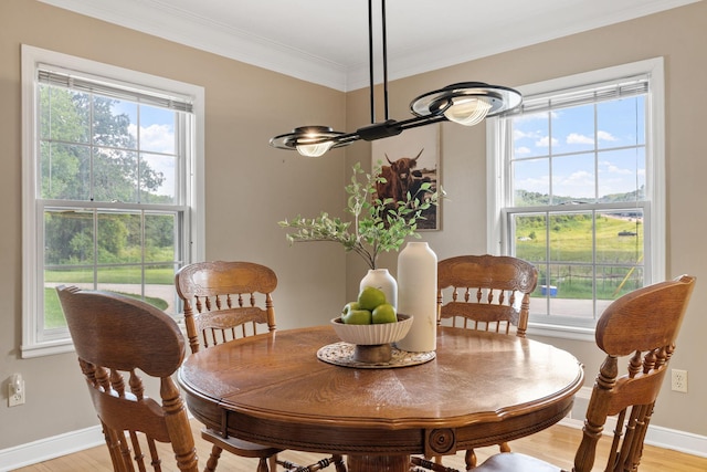 1850 Stagecoach Rd, Shakopee, MN 55379 - photo 12