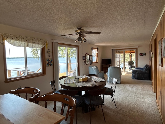 10372 Sherbrooke Beach Ln, Pelican Rapids, MN 56572 - photo 21