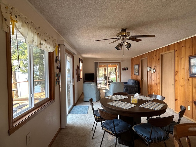 10372 Sherbrooke Beach Ln, Pelican Rapids, MN 56572 - photo 22