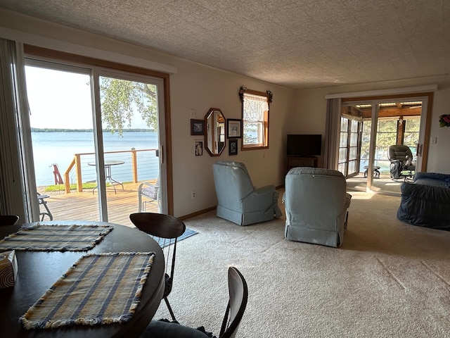 10372 Sherbrooke Beach Ln, Pelican Rapids, MN 56572 - photo 23