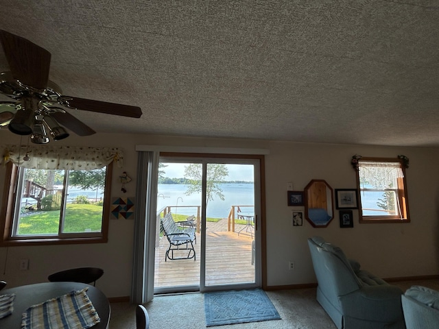 10372 Sherbrooke Beach Ln, Pelican Rapids, MN 56572 - photo 24