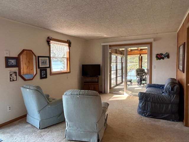 10372 Sherbrooke Beach Ln, Pelican Rapids, MN 56572 - photo 26