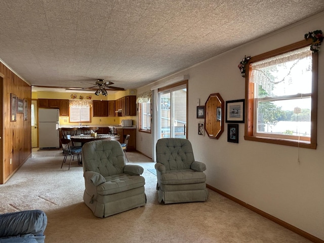 10372 Sherbrooke Beach Ln, Pelican Rapids, MN 56572 - photo 28