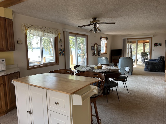 10372 Sherbrooke Beach Ln, Pelican Rapids, MN 56572 - photo 19