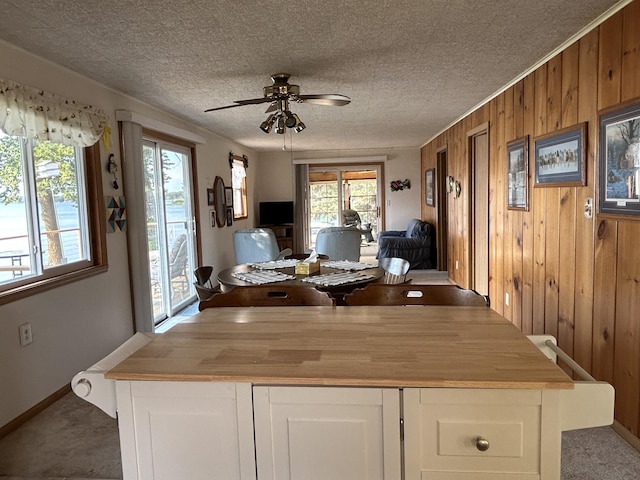 10372 Sherbrooke Beach Ln, Pelican Rapids, MN 56572 - photo 20