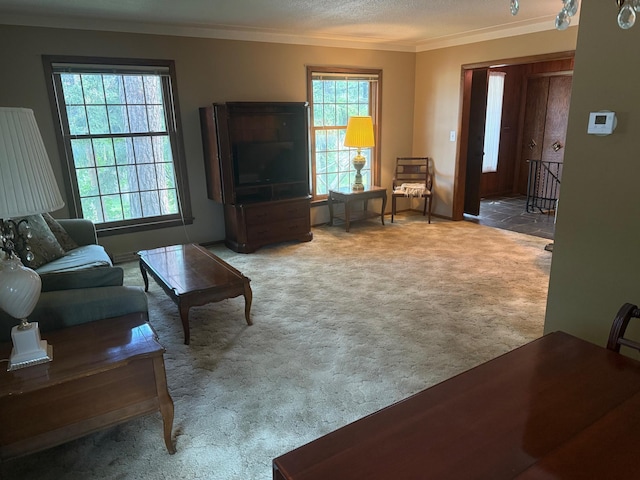 1242 Eleanor Ave, Saint Paul, MN 55116 - photo 4