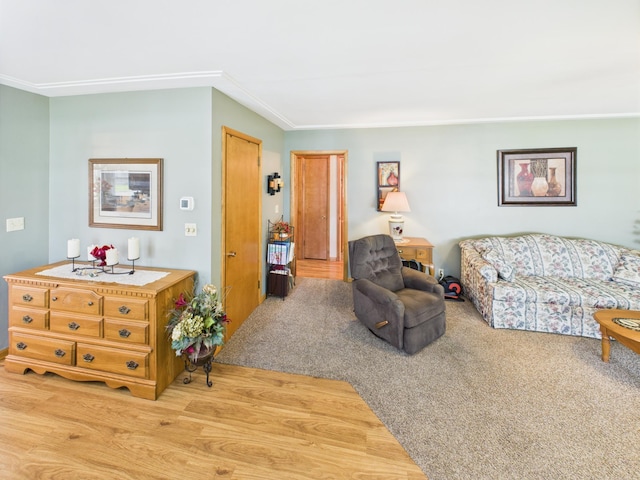 565 Lowery Ave, Belgrade, MN 56312 - photo 15