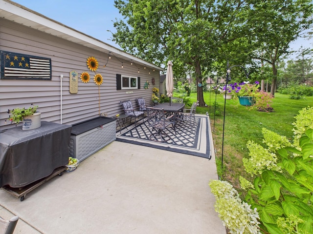 565 Lowery Ave, Belgrade, MN 56312 - photo 39