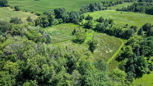17491 Olinda Trl N, May Twp, MN 55047 - photo 14