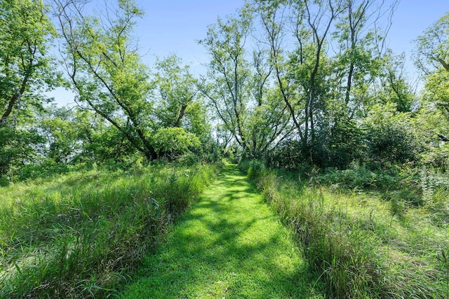 17491 Olinda Trl N, May Twp, MN 55047 - photo 61