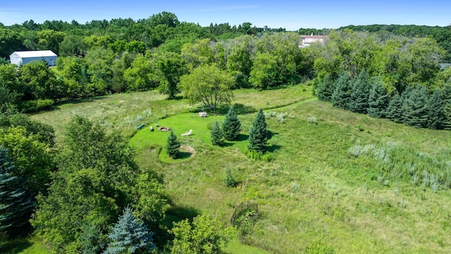 17491 Olinda Trl N, May Twp, MN 55047 - photo 63