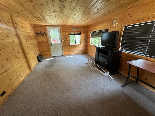 1473 State Highway 172 NW, Baudette Twp, MN 56623 - photo 8