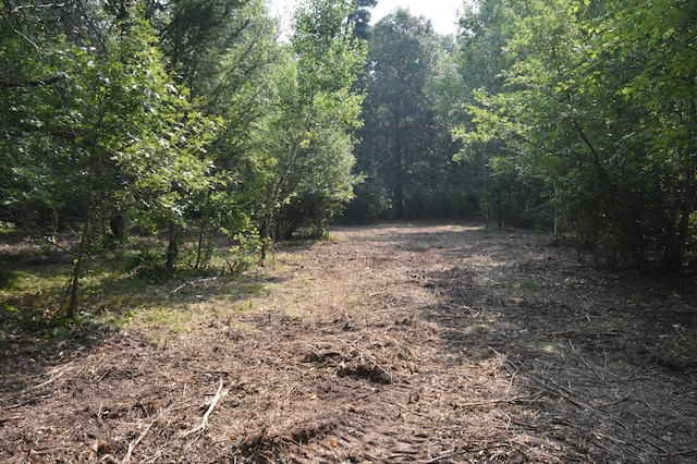 TBD 30th, Pine River Twp, MN 56474 - photo 1