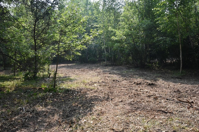 TBD 30th, Pine River Twp, MN 56474 - photo 2