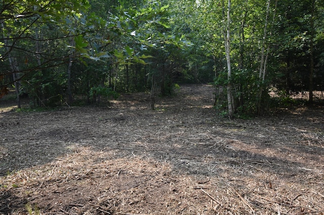 TBD 30th, Pine River Twp, MN 56474 - photo 3