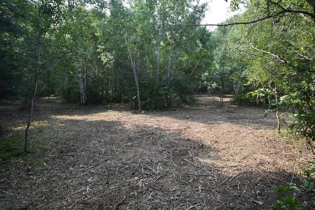 TBD 30th, Pine River Twp, MN 56474 - photo 4