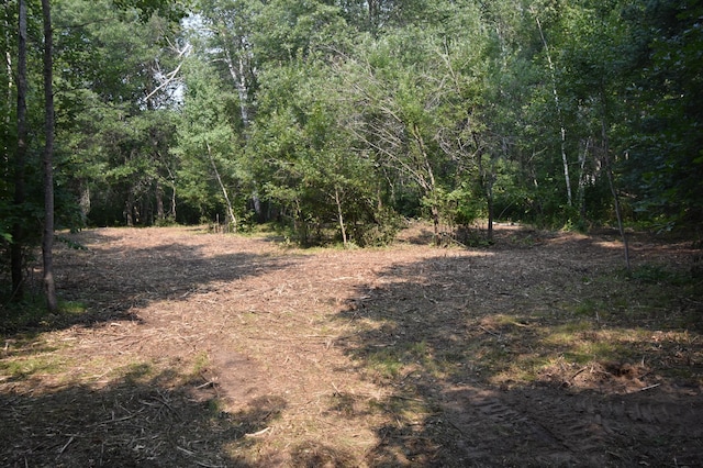 TBD 30th, Pine River Twp, MN 56474 - photo 6