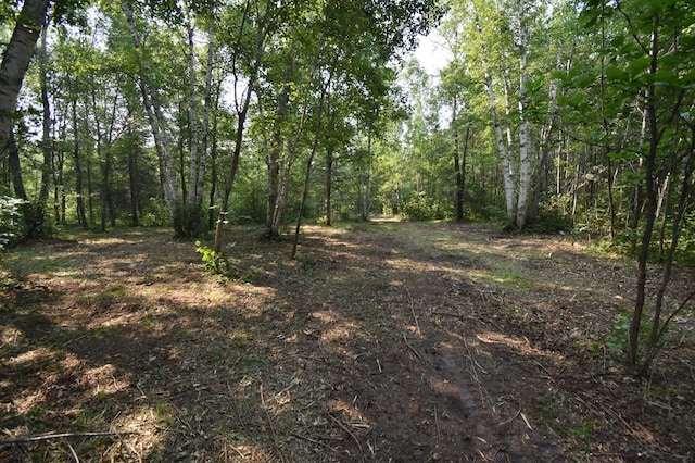 TBD 30th, Pine River Twp, MN 56474 - photo 7