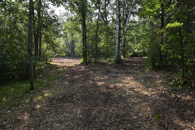 TBD 30th, Pine River Twp, MN 56474 - photo 8