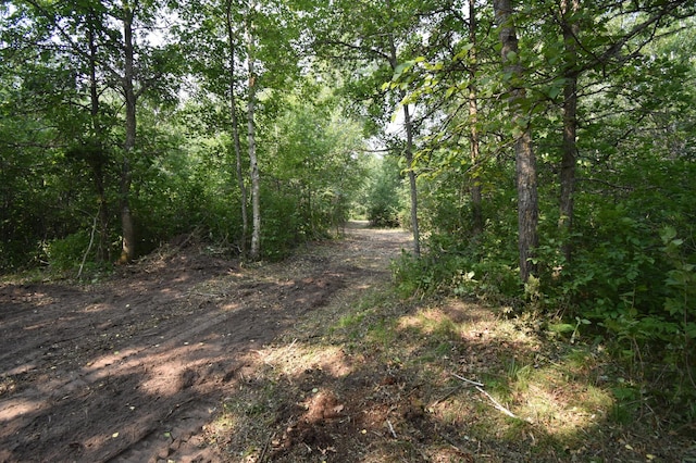TBD 30th, Pine River Twp, MN 56474 - photo 9