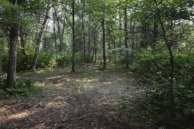 TBD 30th, Pine River Twp, MN 56474 - photo 13