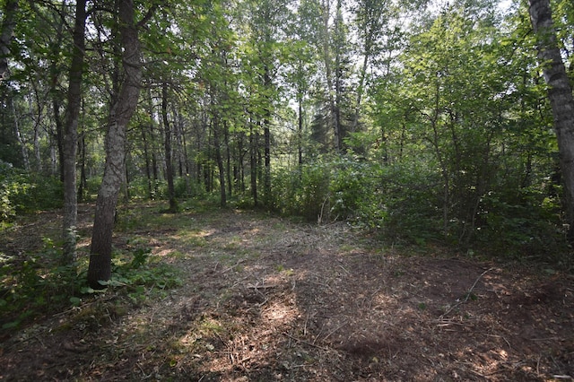 TBD 30th, Pine River Twp, MN 56474 - photo 14