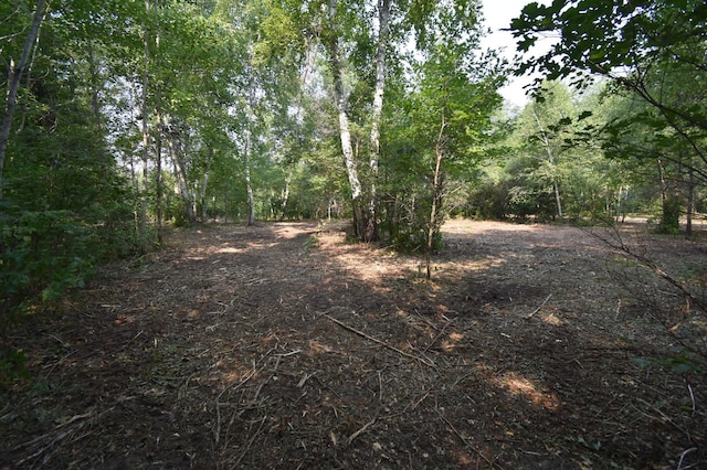 TBD 30th, Pine River Twp, MN 56474 - photo 15