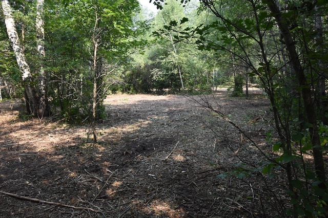 TBD 30th, Pine River Twp, MN 56474 - photo 16