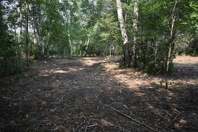 TBD 30th, Pine River Twp, MN 56474 - photo 17