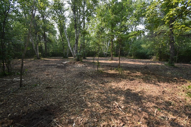 TBD 30th, Pine River Twp, MN 56474 - photo 18