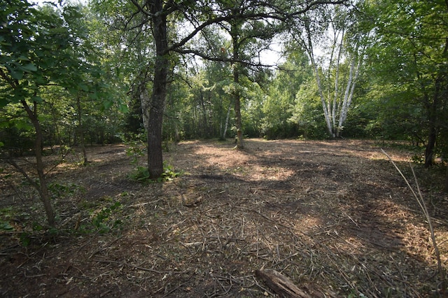 TBD 30th, Pine River Twp, MN 56474 - photo 20