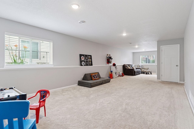 451 Goodhue St, Saint Paul, MN 55102 - photo 30