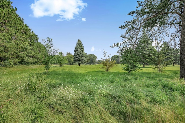 1 Pine Tree Ct, Sartell, MN 56377 - photo 24