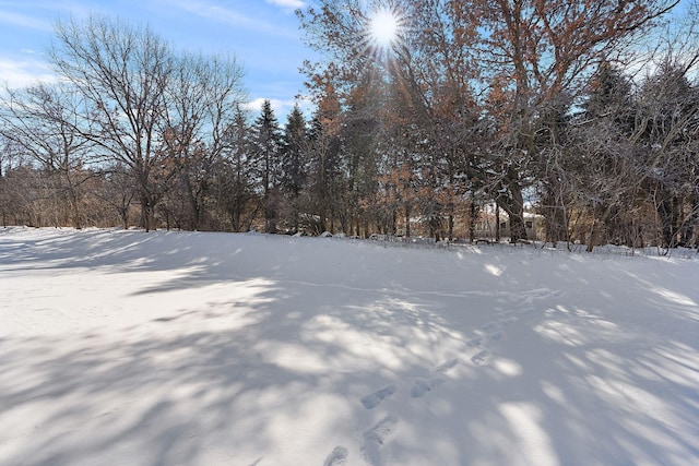 11581 Riverstone Ct, Woodbury, MN 55129 - photo 46