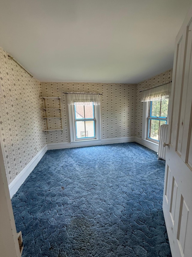 475 13th St, Red Wing, MN 55066 - photo 26
