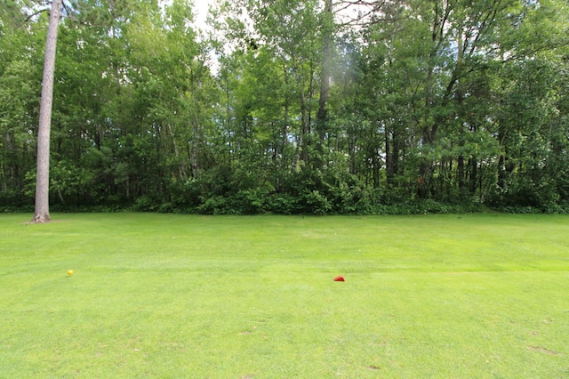 TractA County Road 1, Emily, MN 56447 - photo 4