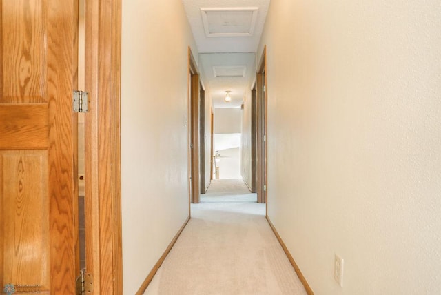 502 8th St E, West Fargo, ND 58078 - photo 18