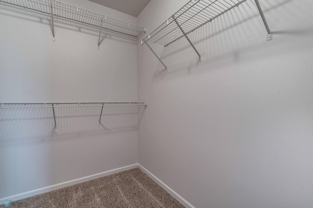 409 Foxtail Dr, Fargo, ND 58078 - photo 24