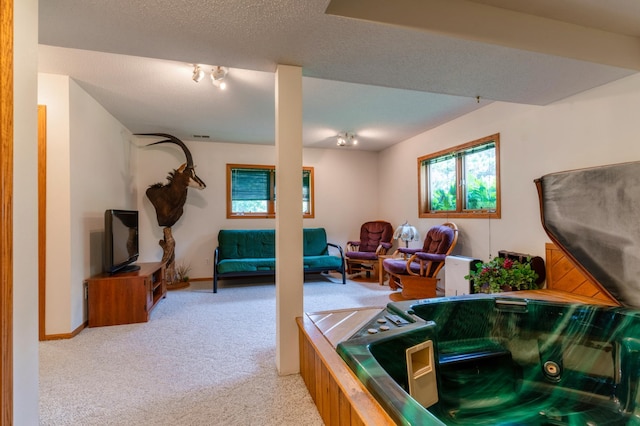 2497 Grange Rd NW, Bemidji, MN 56601 - photo 23