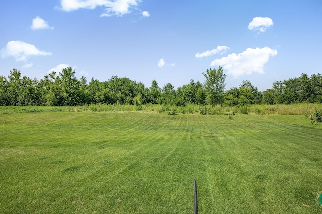 2626 Twin Ponds Path, Mayer, MN 55360 - photo 26