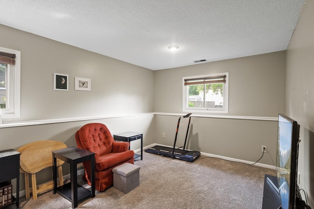 10590 Drake St NW, Coon Rapids, MN 55433 - photo 18