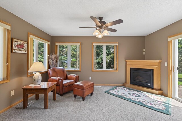 919 Evergreen Ct, Vadnais Heights, MN 55127 - photo 22
