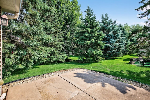 919 Evergreen Ct, Vadnais Heights, MN 55127 - photo 32