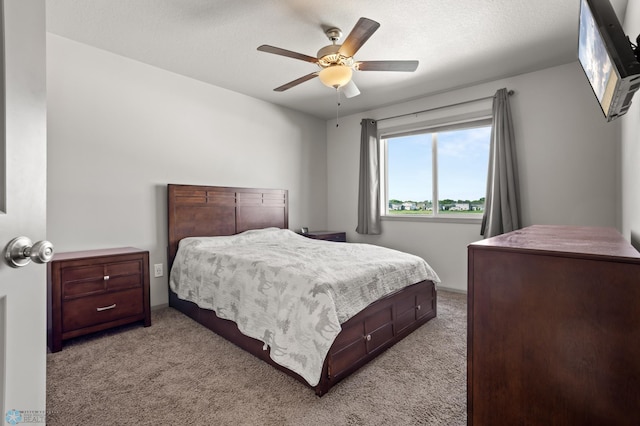 6297 57th Ave S, Fargo, ND 58104 - photo 7