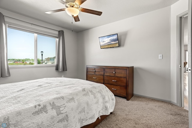 6297 57th Ave S, Fargo, ND 58104 - photo 9