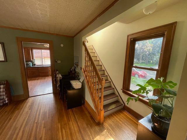 911 2nd Ave NW, Austin, MN 55912 - photo 15