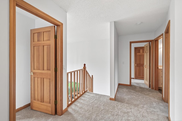 870 Jennings Cove Rd, Minnetrista, MN 55364 - photo 6