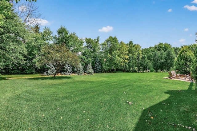 870 Jennings Cove Rd, Minnetrista, MN 55364 - photo 50