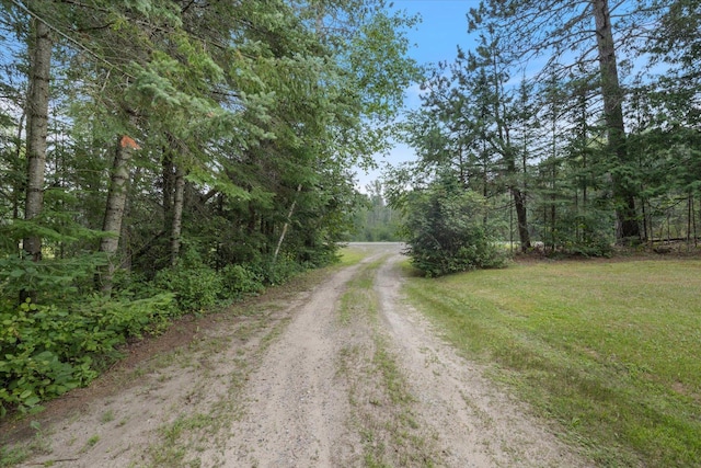 37736 County Road 45, Marcell, MN 56657 - photo 41