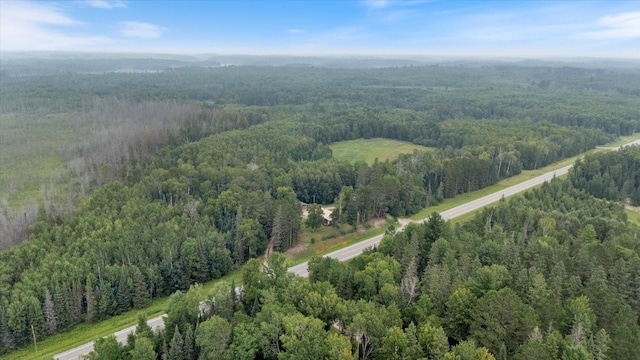 37736 County Road 45, Marcell, MN 56657 - photo 43